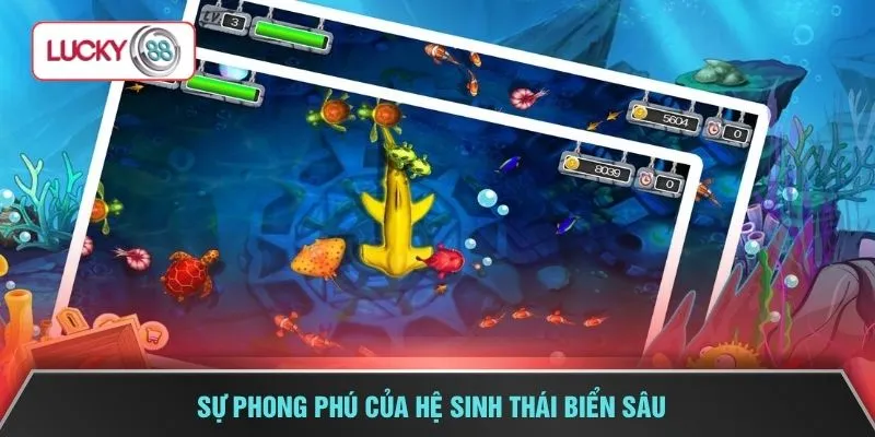 Sự phong phú của hệ sinh thái biển sâu